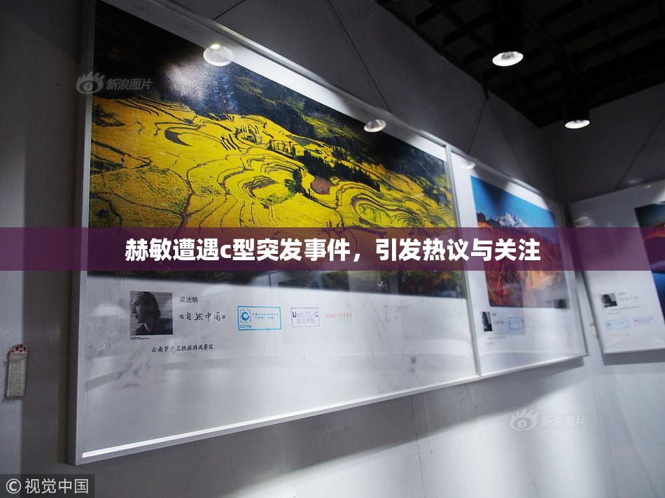 赫敏遭遇c型突发事件，引发热议与关注