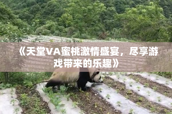 《天堂VA蜜桃激情盛宴，尽享游戏带来的乐趣》