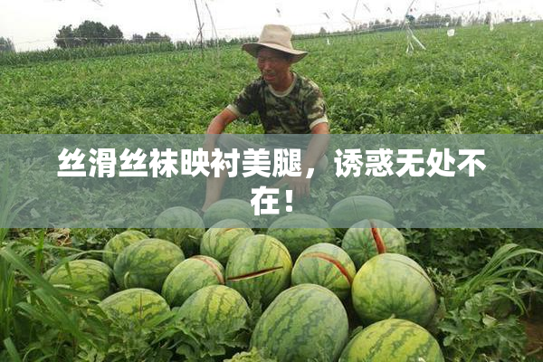 丝滑丝袜映衬美腿，诱惑无处不在！