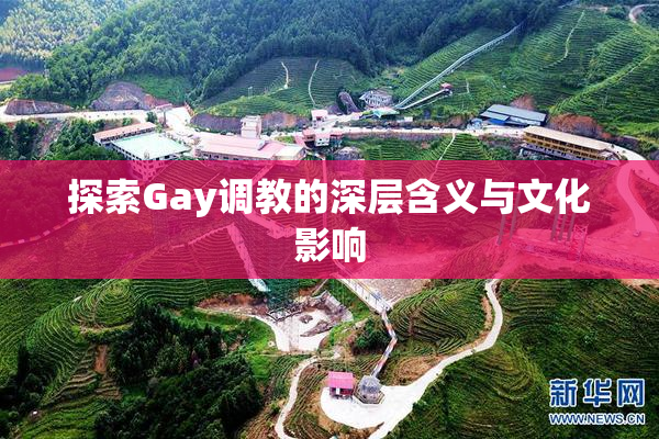 探索Gay调教的深层含义与文化影响
