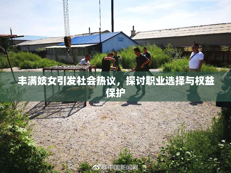 丰满妓女引发社会热议，探讨职业选择与权益保护
