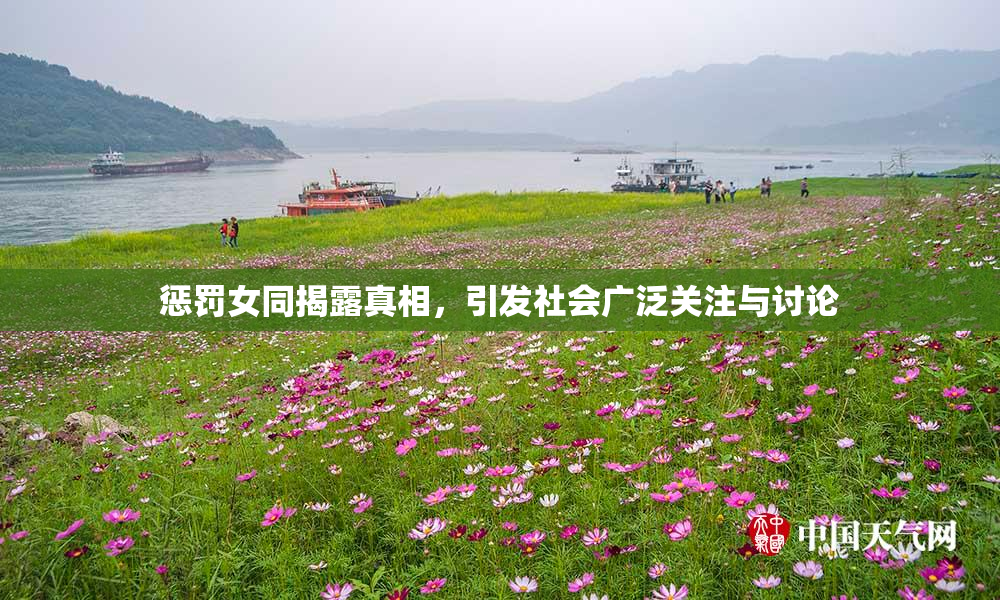 惩罚女同揭露真相，引发社会广泛关注与讨论