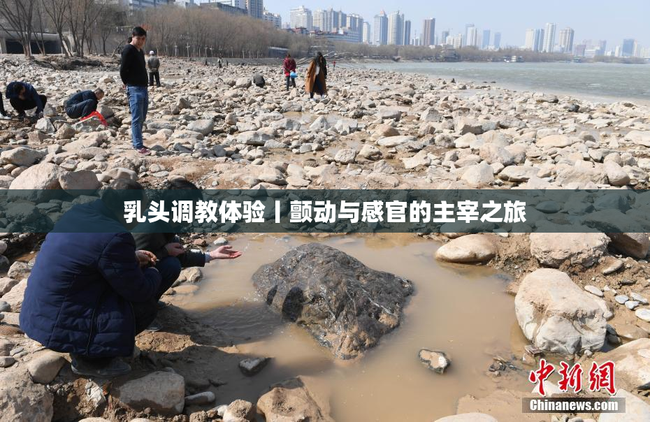 乳头调教体验丨颤动与感官的主宰之旅