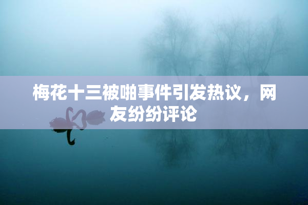 梅花十三被啪事件引发热议，网友纷纷评论