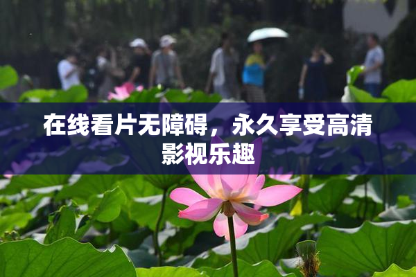 在线看片无障碍，永久享受高清影视乐趣