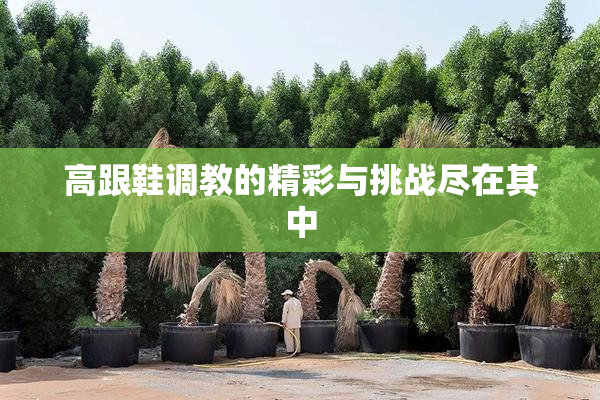 高跟鞋调教的精彩与挑战尽在其中
