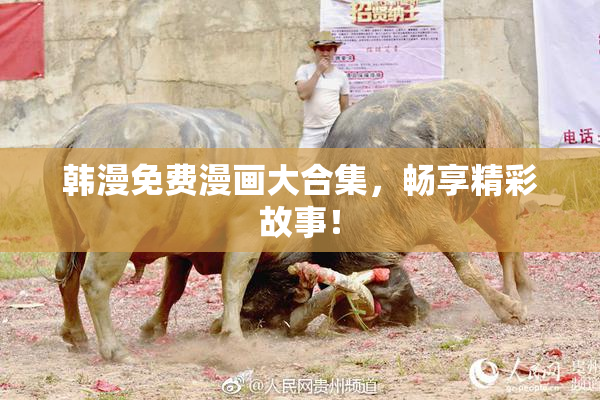 韩漫免费漫画大合集，畅享精彩故事！