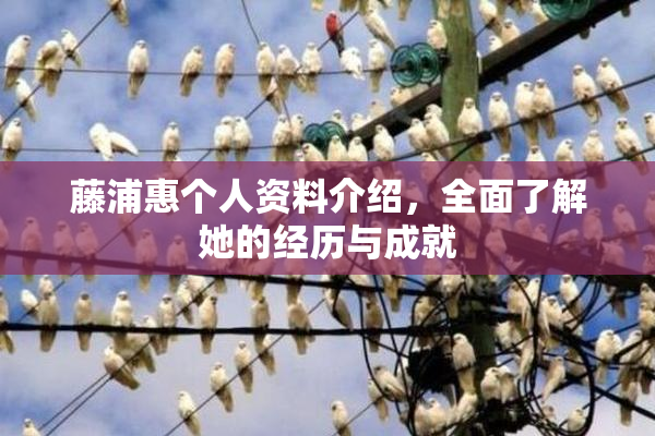 藤浦惠个人资料介绍，全面了解她的经历与成就