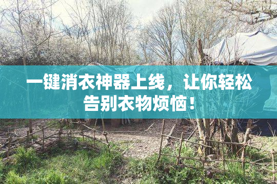 一键消衣神器上线，让你轻松告别衣物烦恼！