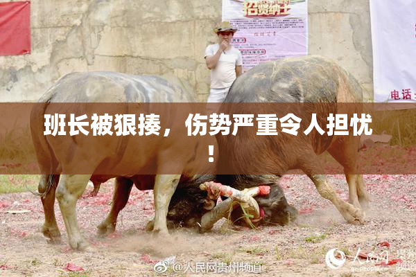 班长被狠揍，伤势严重令人担忧！