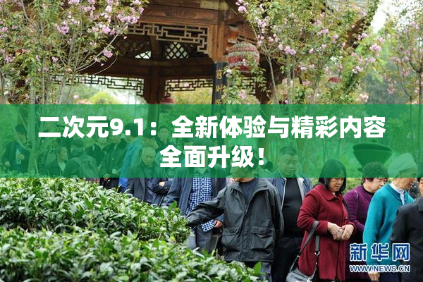 二次元9.1：全新体验与精彩内容全面升级！