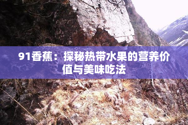91香蕉：探秘热带水果的营养价值与美味吃法