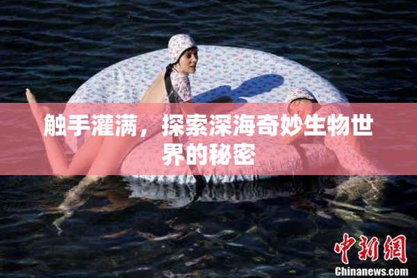 触手灌满，探索深海奇妙生物世界的秘密