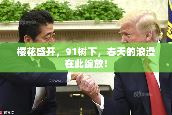 樱花盛开，91树下，春天的浪漫在此绽放！