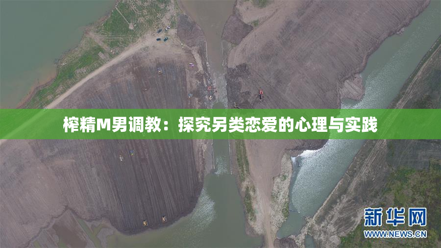 榨精M男调教：探究另类恋爱的心理与实践