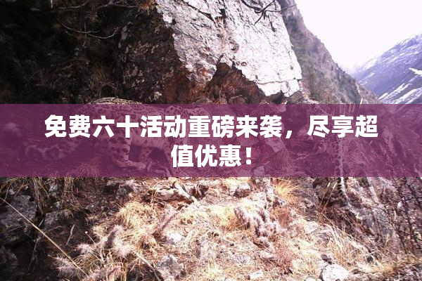 免费六十活动重磅来袭，尽享超值优惠！