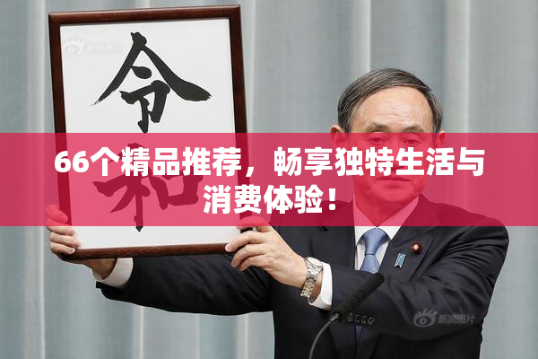 66个精品推荐，畅享独特生活与消费体验！