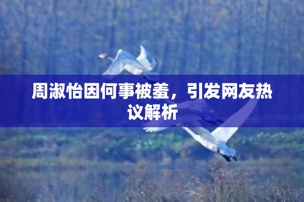周淑怡因何事被羞，引发网友热议解析