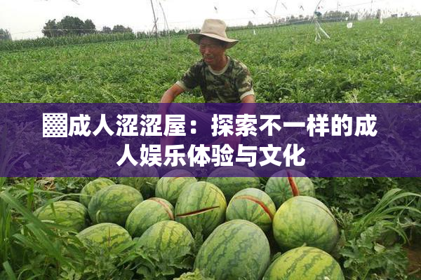 ▓成人涩涩屋：探索不一样的成人娱乐体验与文化