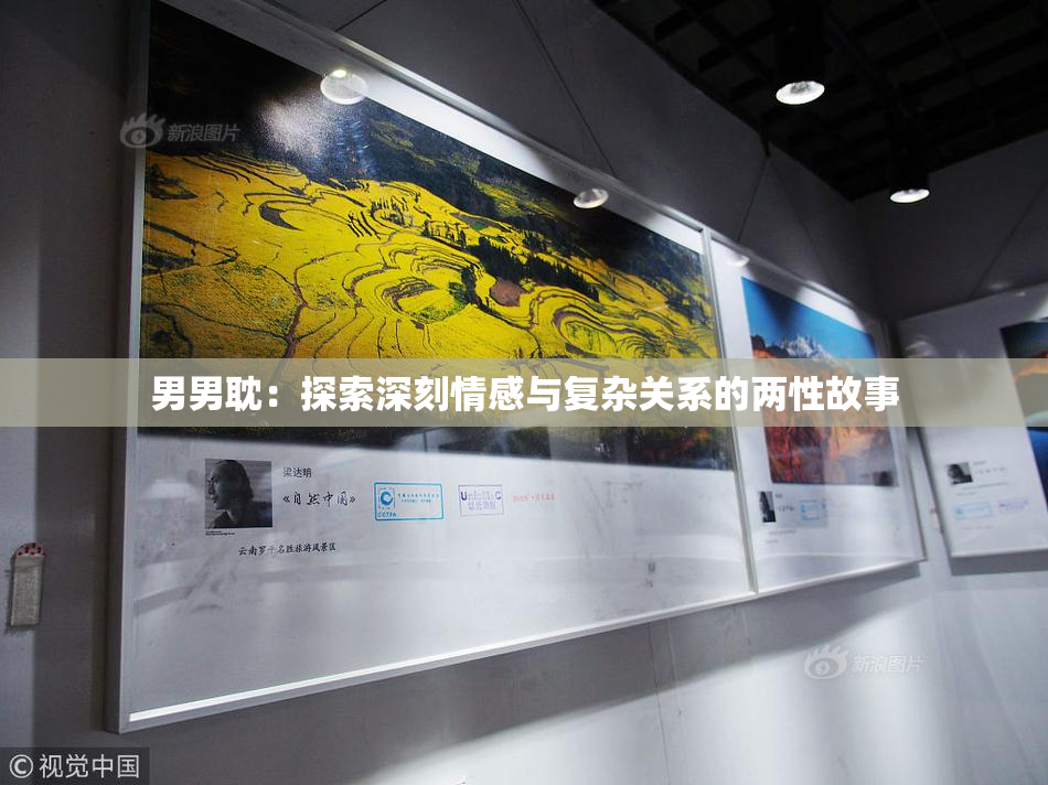 男男耽：探索深刻情感与复杂关系的两性故事