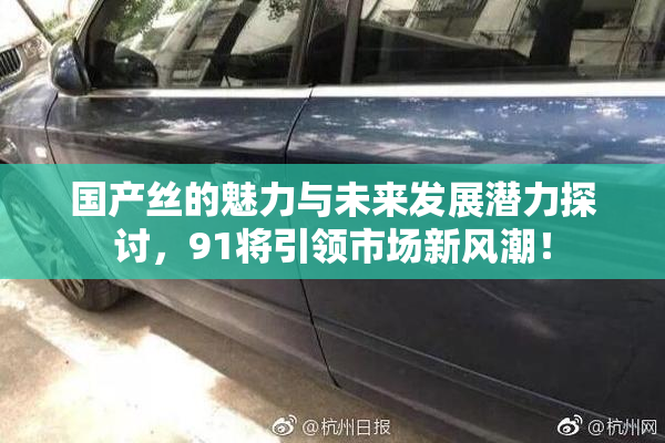 国产丝的魅力与未来发展潜力探讨，91将引领市场新风潮！