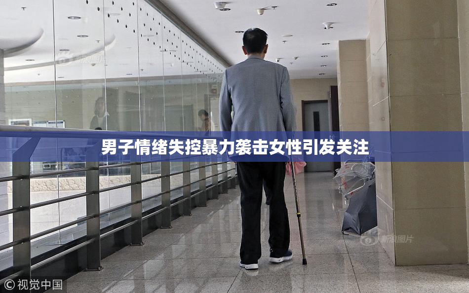 男子情绪失控暴力袭击女性引发关注