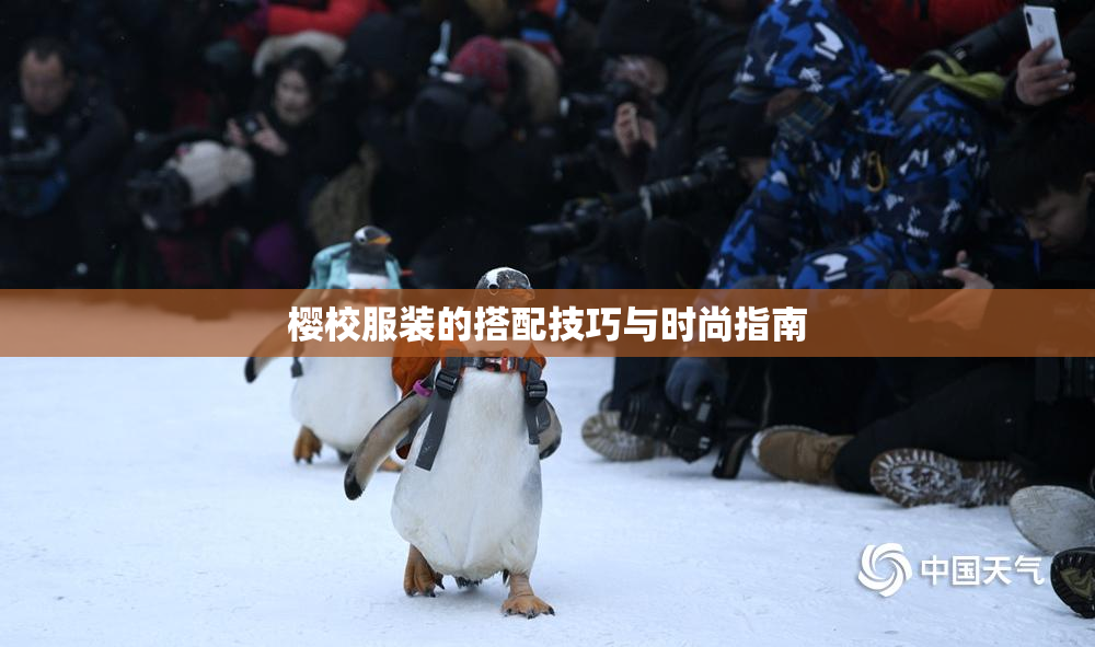 樱校服装的搭配技巧与时尚指南