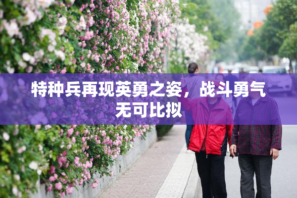 特种兵再现英勇之姿，战斗勇气无可比拟