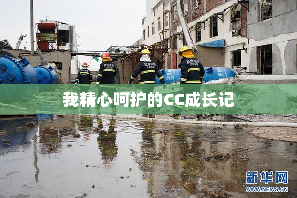 我精心呵护的CC成长记