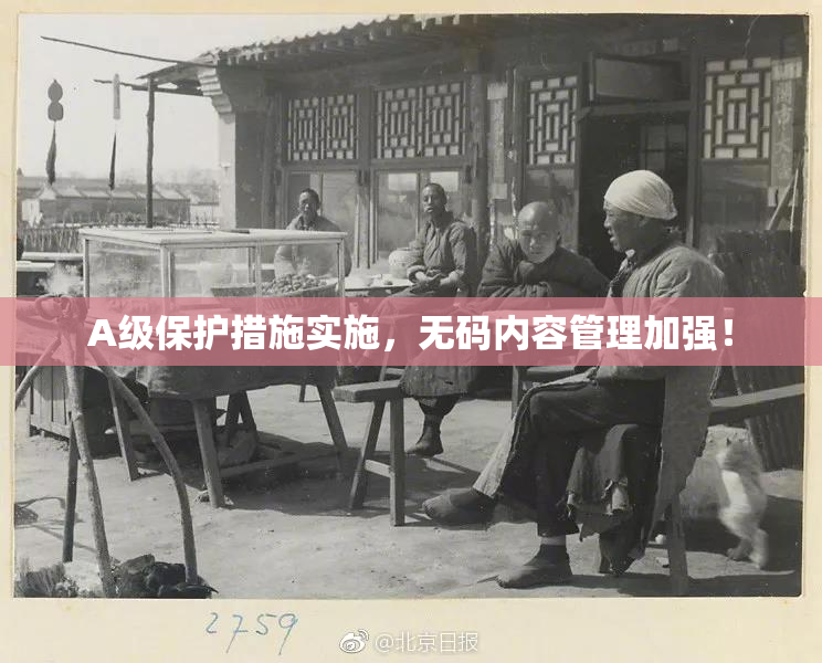 A级保护措施实施，无码内容管理加强！