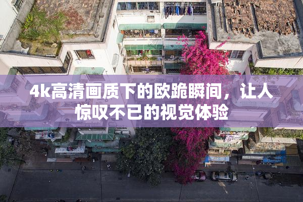 4k高清画质下的欧跪瞬间，让人惊叹不已的视觉体验