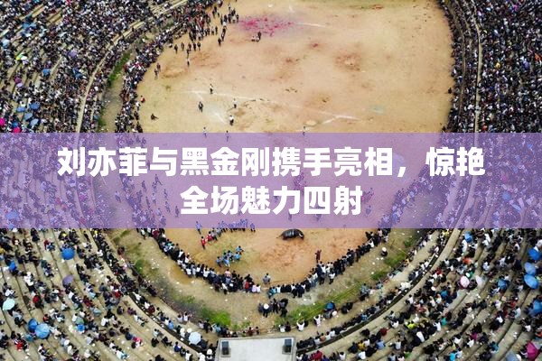 刘亦菲与黑金刚携手亮相，惊艳全场魅力四射
