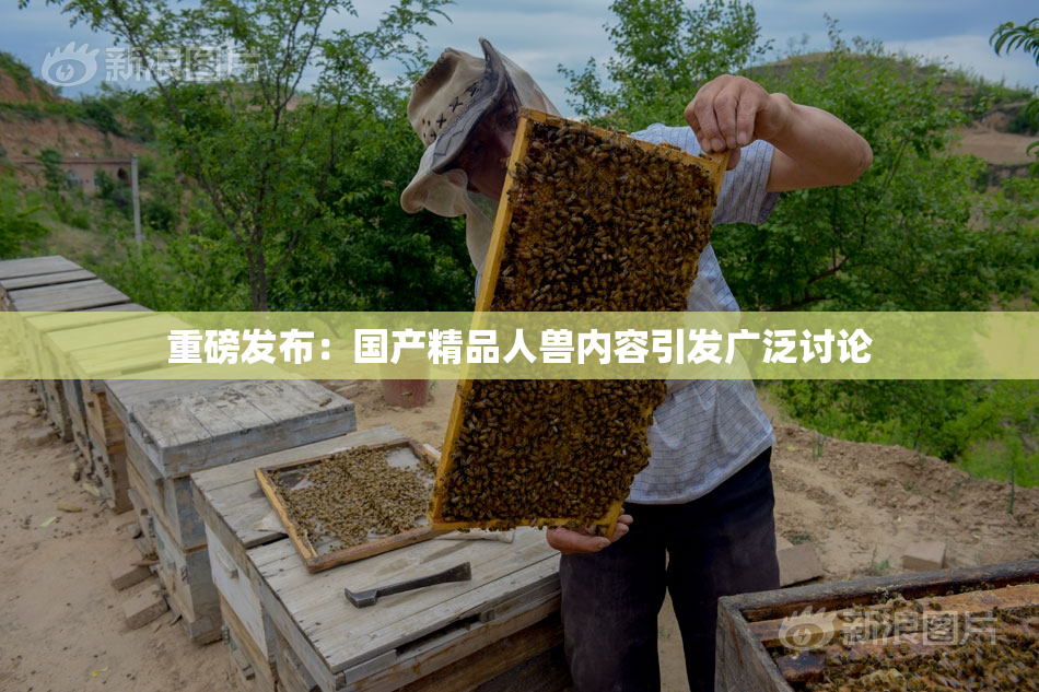 重磅发布：国产精品人兽内容引发广泛讨论