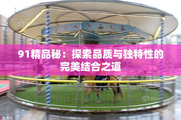 91精品秘：探索品质与独特性的完美结合之道