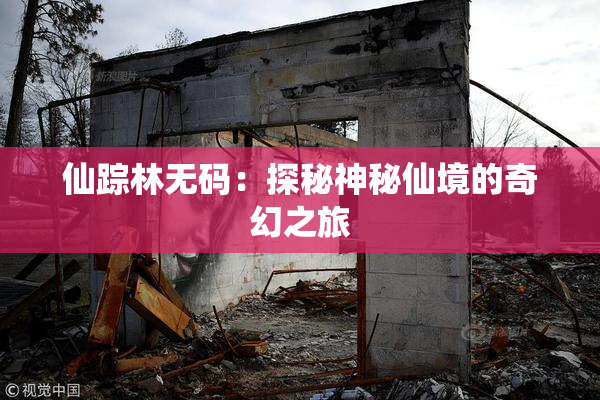 仙踪林无码：探秘神秘仙境的奇幻之旅