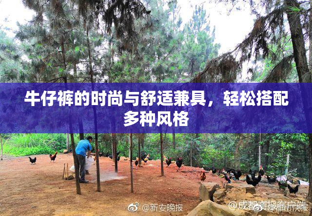 牛仔裤的时尚与舒适兼具，轻松搭配多种风格