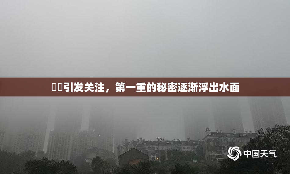 妺妺引发关注，第一重的秘密逐渐浮出水面