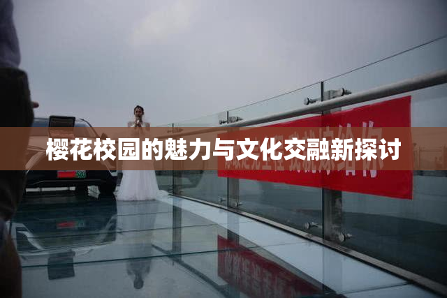 樱花校园的魅力与文化交融新探讨