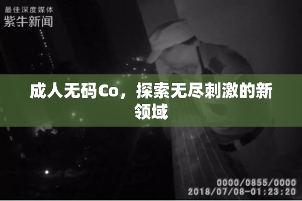 成人无码Co，探索无尽刺激的新领域