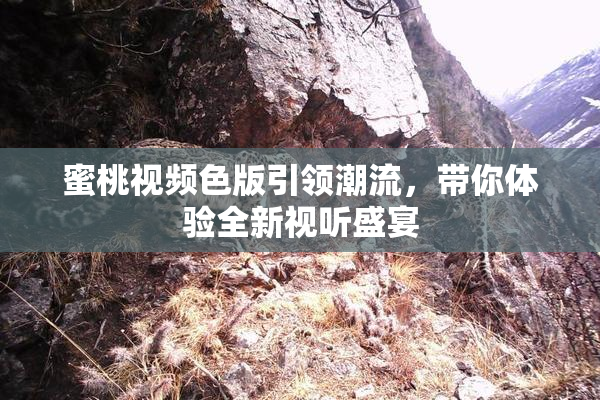 蜜桃视频色版引领潮流，带你体验全新视听盛宴