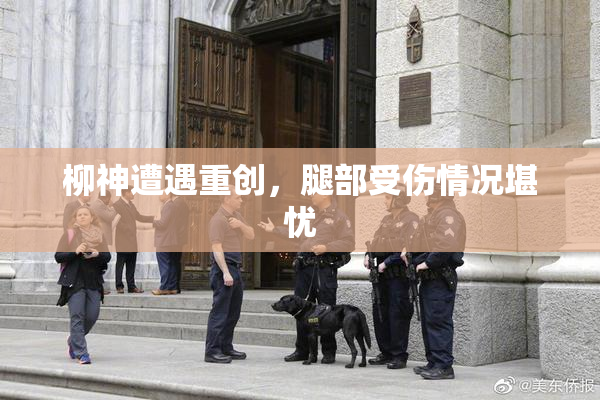 柳神遭遇重创，腿部受伤情况堪忧