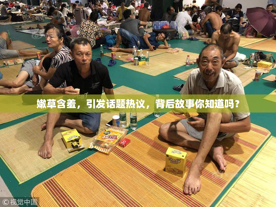 嫩草含羞，引发话题热议，背后故事你知道吗？