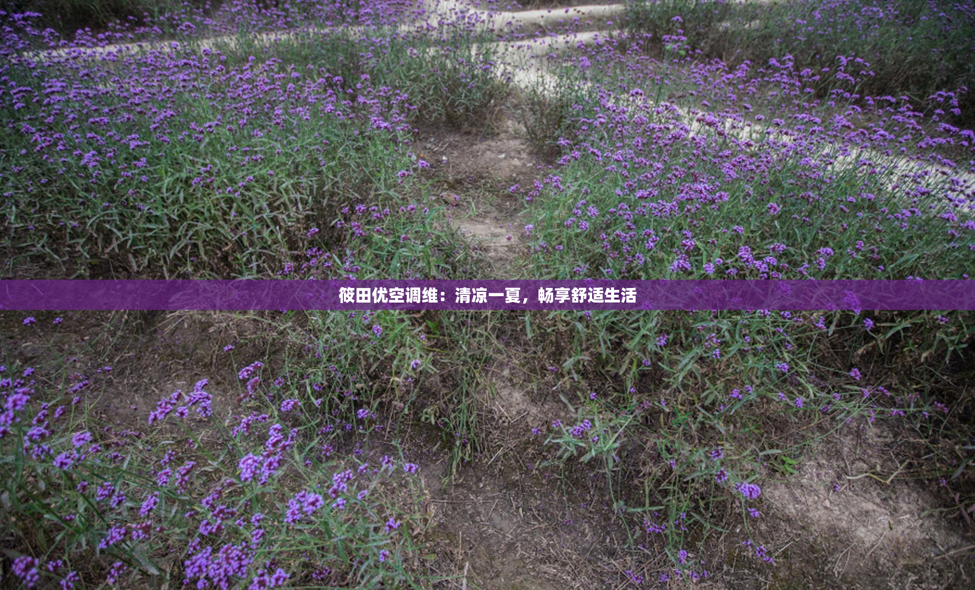 筱田优空调维：清凉一夏，畅享舒适生活