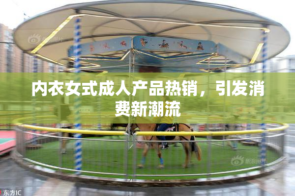 内衣女式成人产品热销，引发消费新潮流