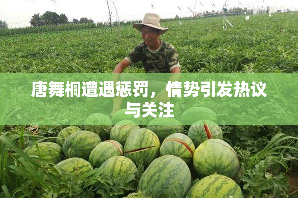 唐舞桐遭遇惩罚，情势引发热议与关注