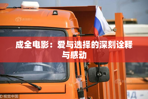 成全电影：爱与选择的深刻诠释与感动