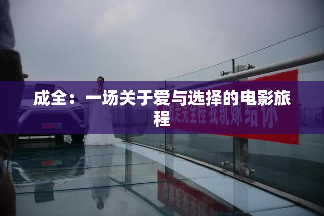 成全：一场关于爱与选择的电影旅程