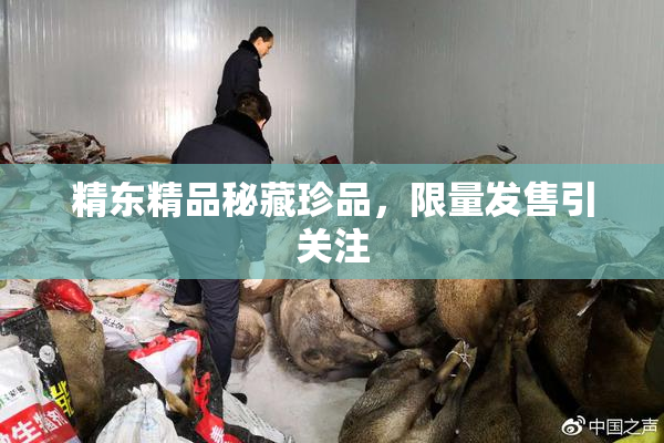 精东精品秘藏珍品，限量发售引关注