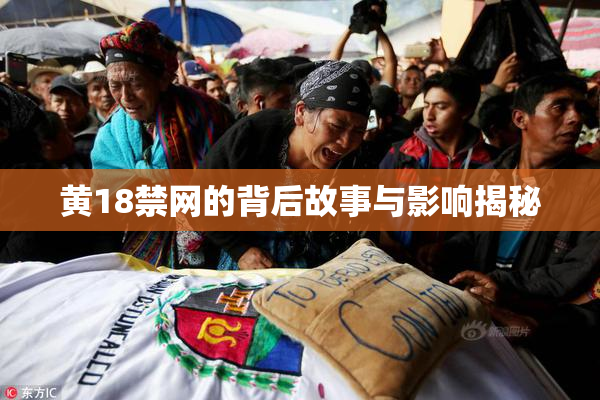 黄18禁网的背后故事与影响揭秘