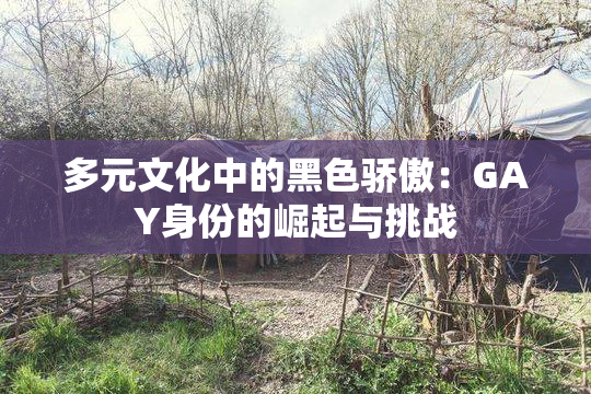 多元文化中的黑色骄傲：GAY身份的崛起与挑战